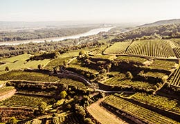 Verkostungspaket Riedenweine