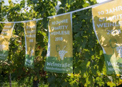 Charity Weinlese Weingut Mueller