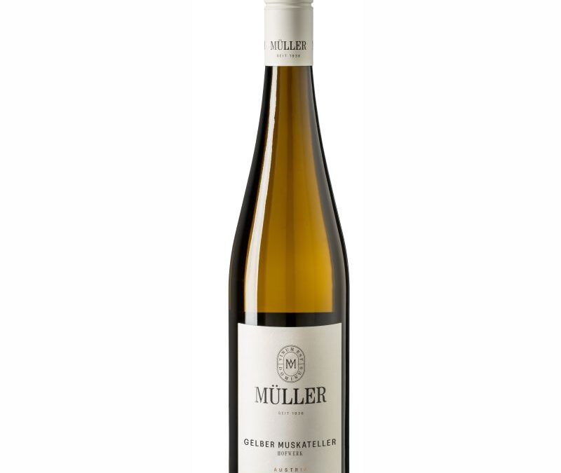 Gelber Muskateller Hofwerk