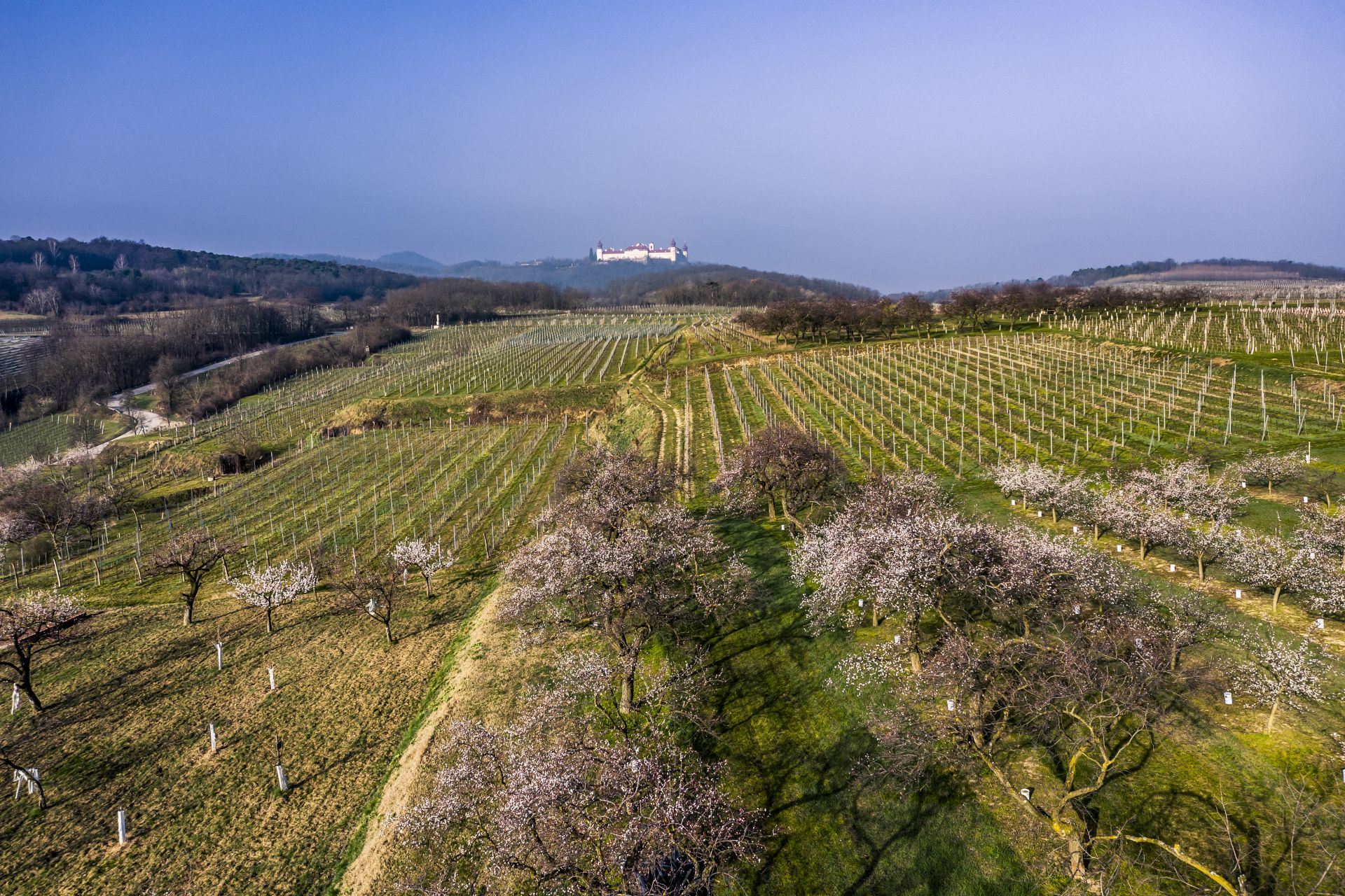 Goettweiger Berg Weingut Mueller