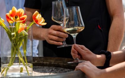 Literatur und Wein im Stift Göttweig