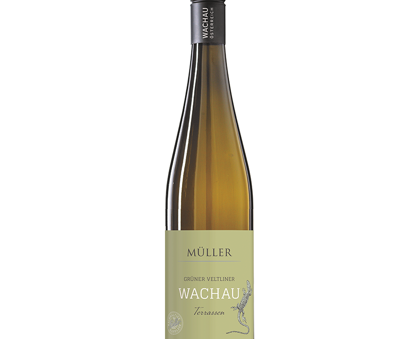 Grüner Veltliner Terrassen Wachau