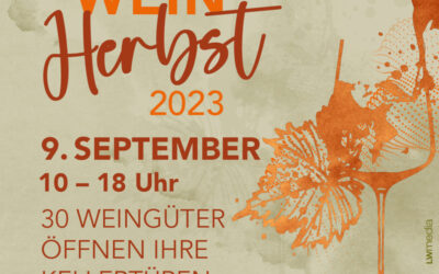 Weinherbst Kremstal