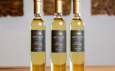 NÖ Landessieger – Riesling Trockenbeerenauslese Ried Leiten 2023