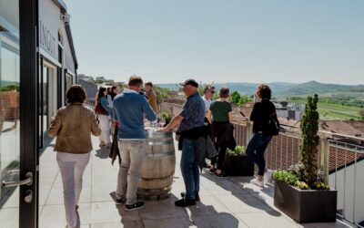 Kremstaler Weinfrühling