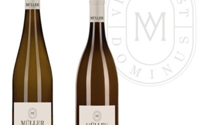 „Collage“ folgt auf die Weine „Martin“ und „Laurenz“